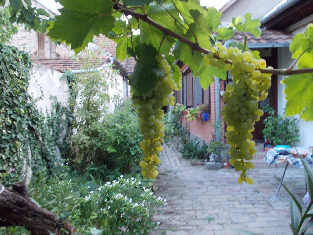 Sobe Gajic Sremski Karlovci Ngoại thất bức ảnh